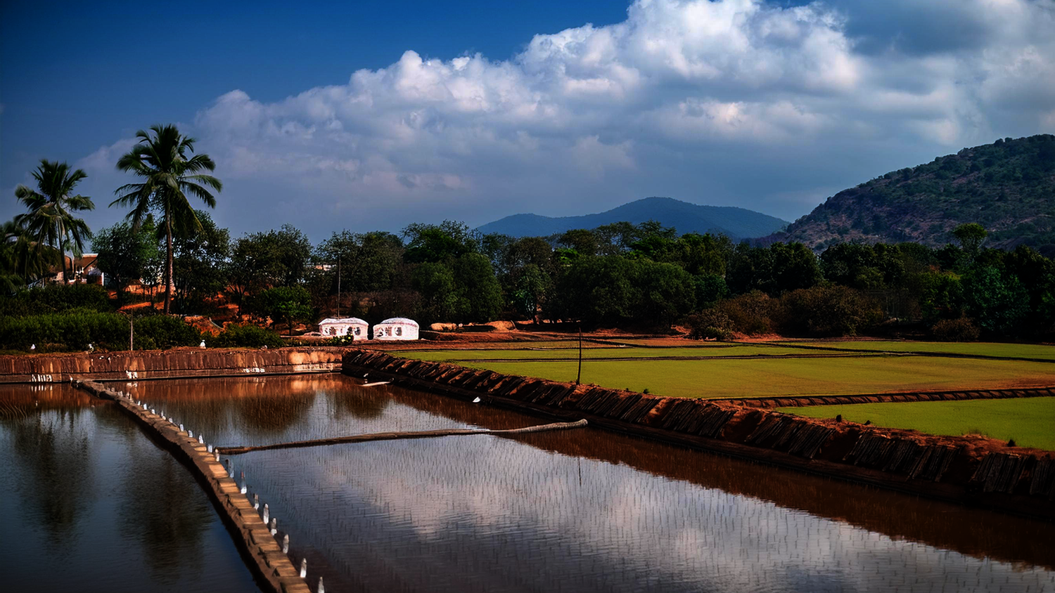 Rainwater Harvesting in Tamil Nadu