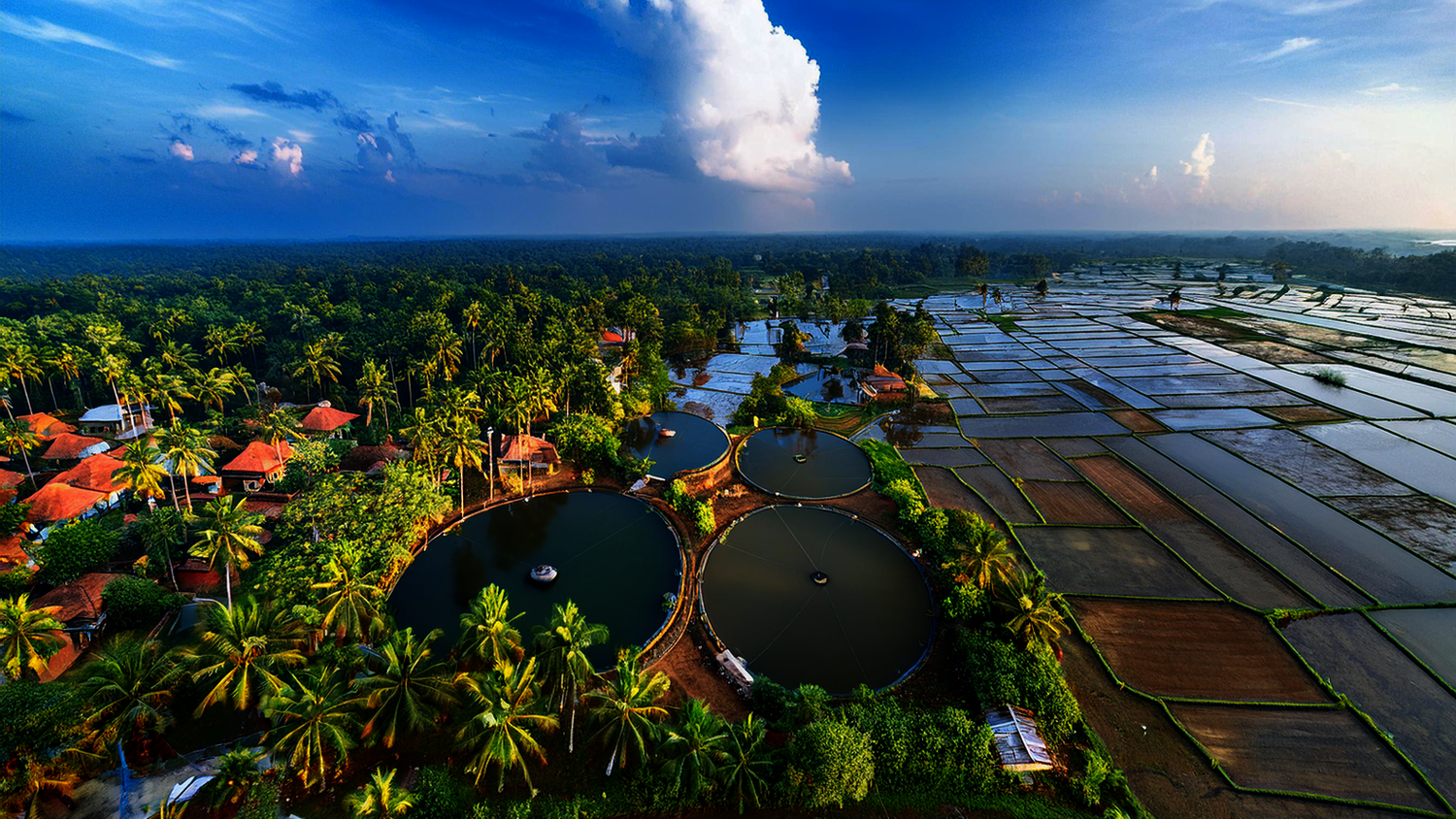 Rainwater Harvesting in Kerala