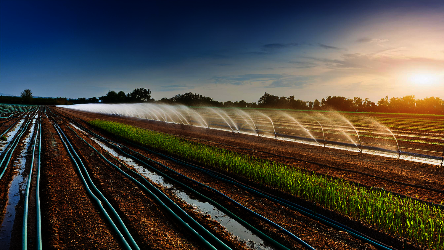 Farmland irrigation using advanced rainwater harvesting methods by Rainy Filters