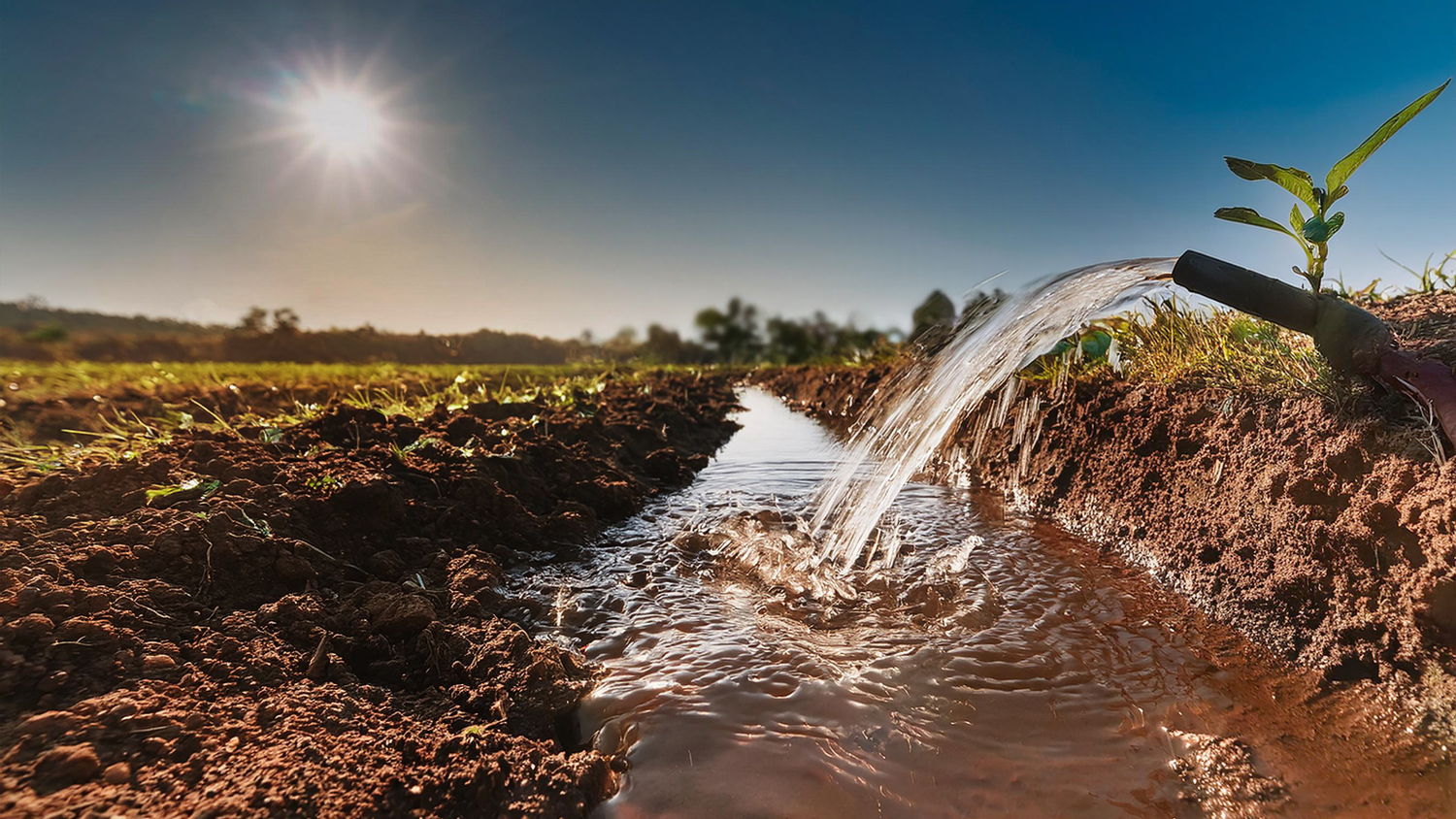 Rain Water Harvesting