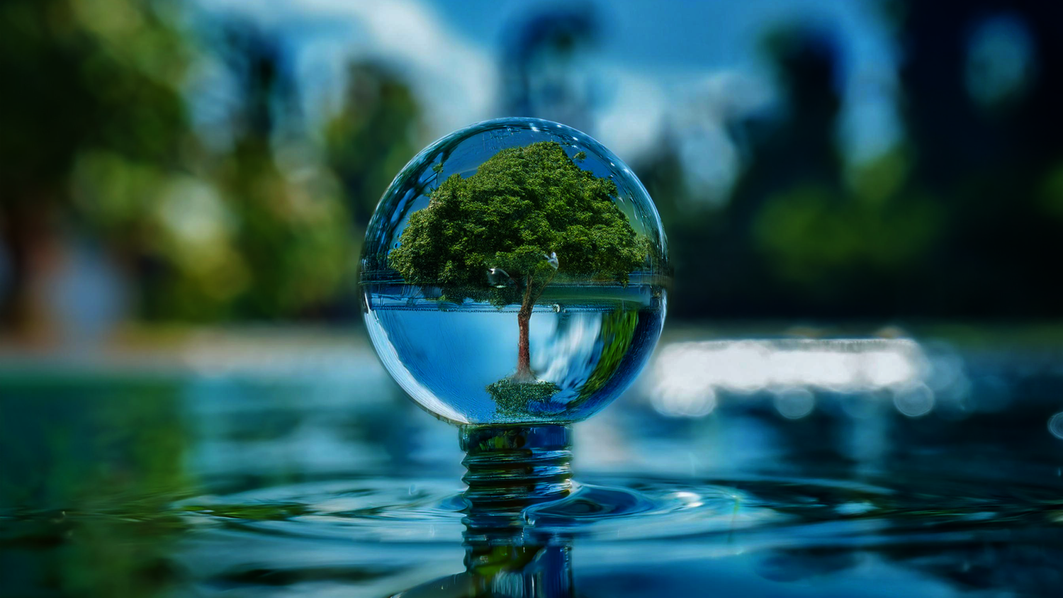 Rainwater Harvesting
