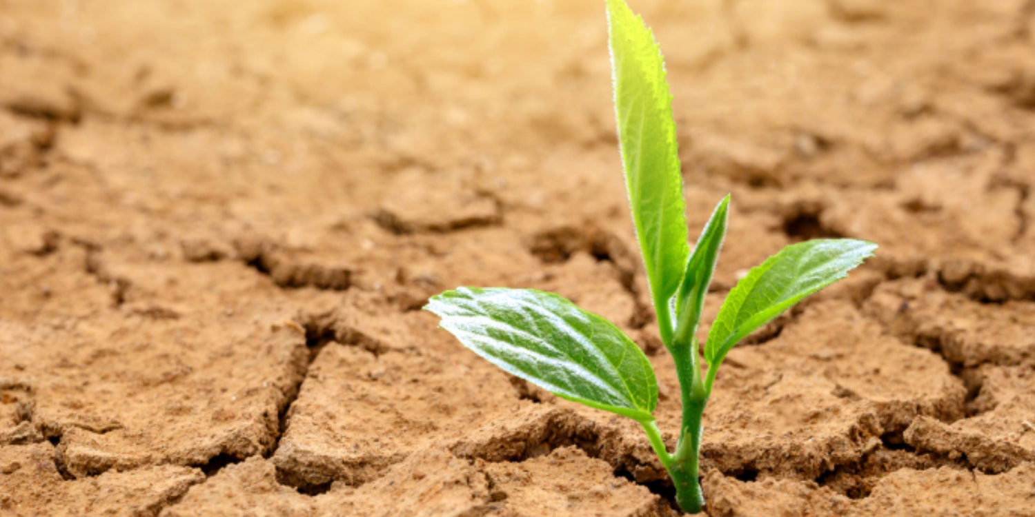 Sustainablе Watеr Managеmеnt