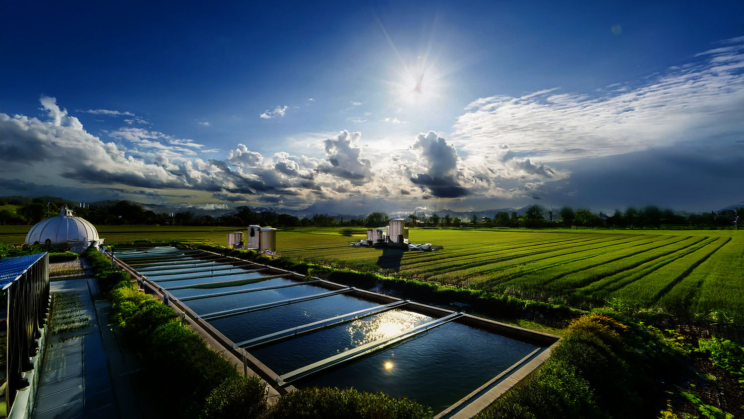 Water harvesting systems