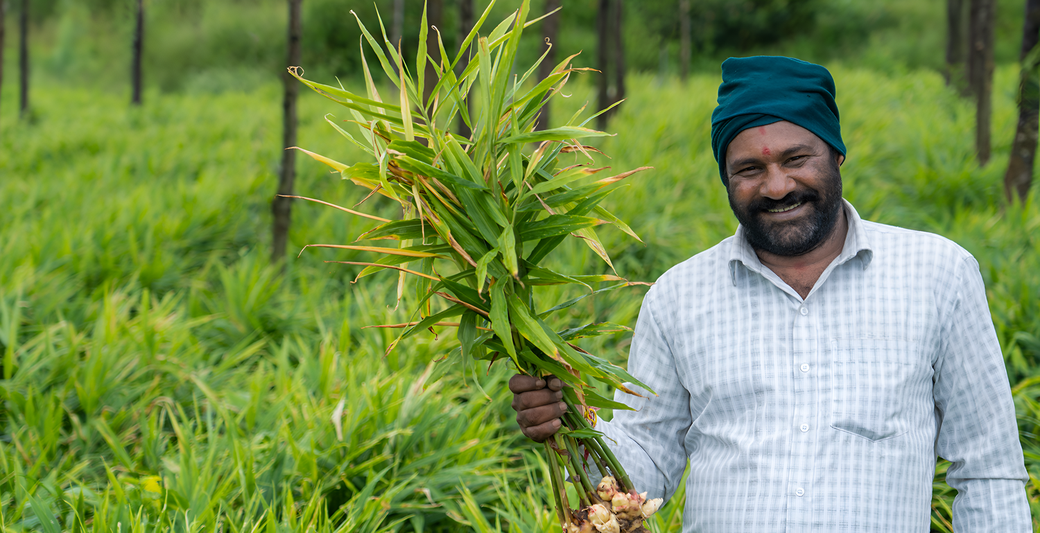 Happy Farmer Using the Best Rainwater Filter in India by Rainy Filters for Clean Water