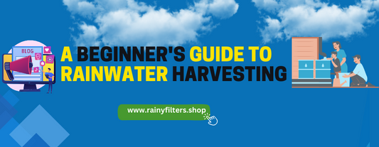 A Beginner's Guide to Rainwater Harvesting: Sustainable Solutions for a Thirsty Planet