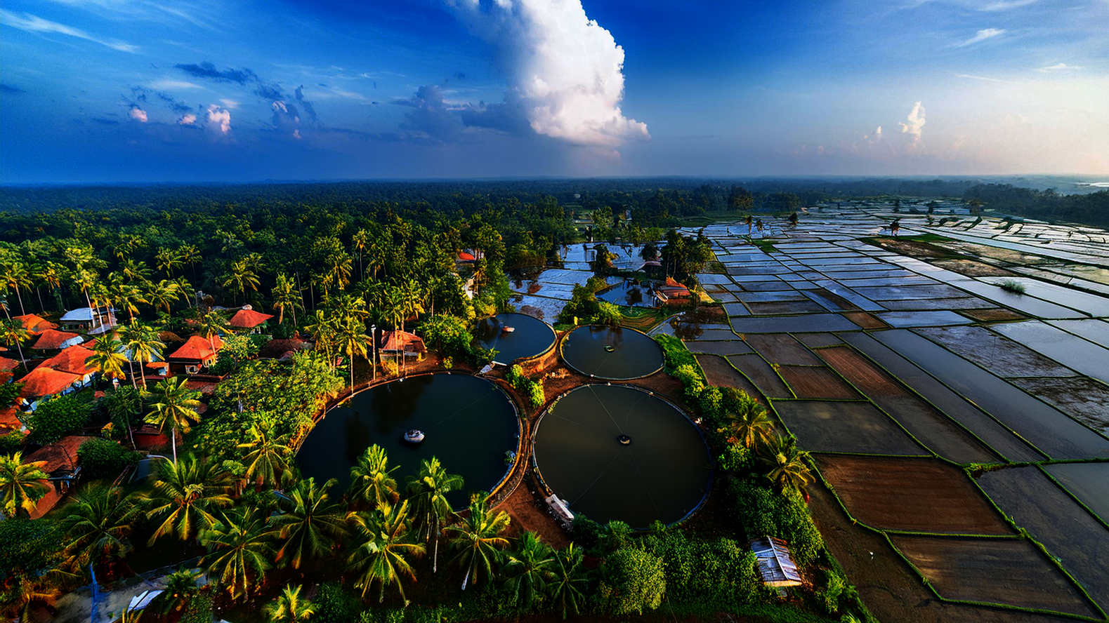 Rainwater Harvesting in Kerala Everything You Need to Know