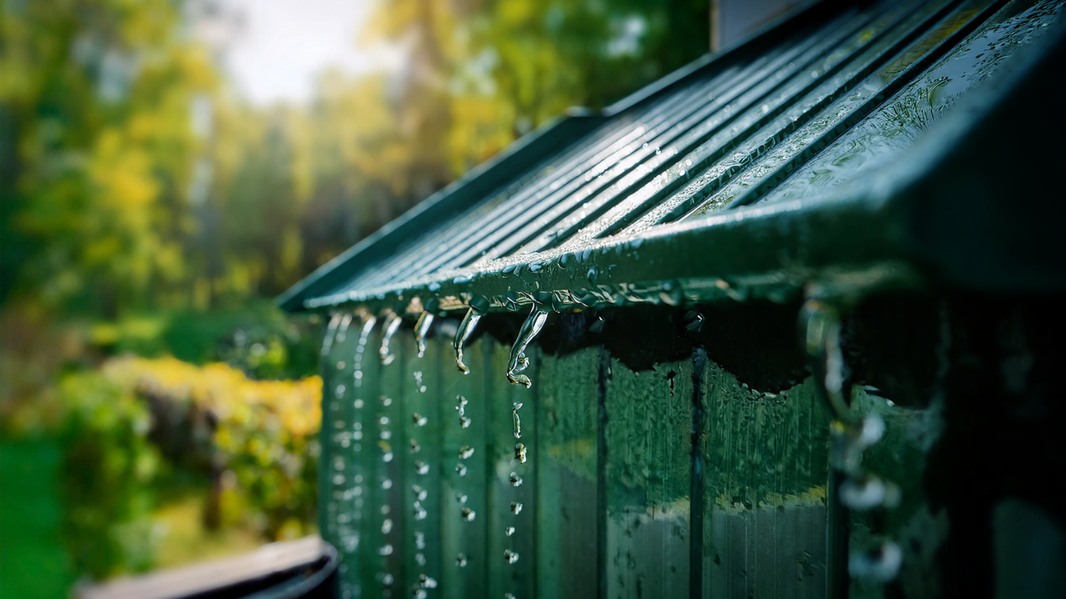 Types of rainwater harvesting filters